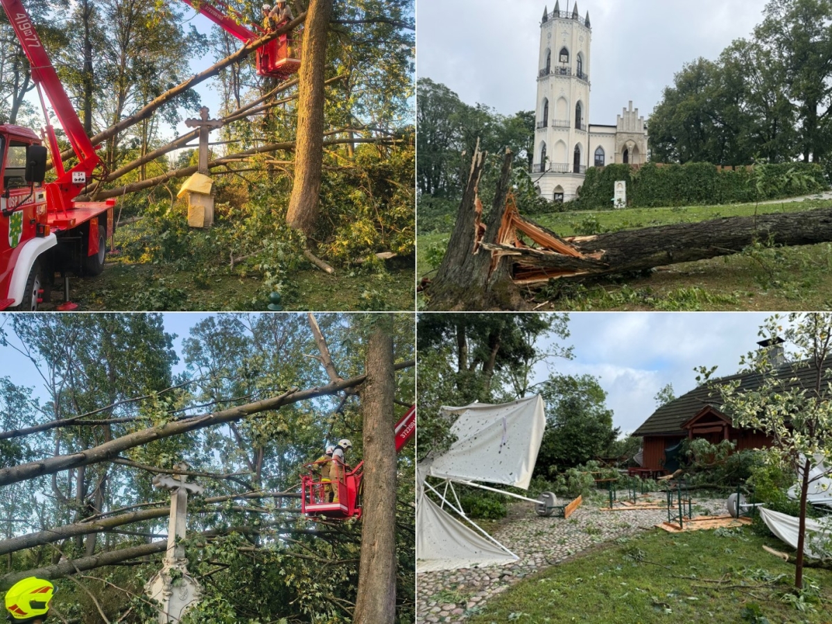 Szkółka Szmit chce pomoc w odbudowie zniszczonego parku w Opinogórze